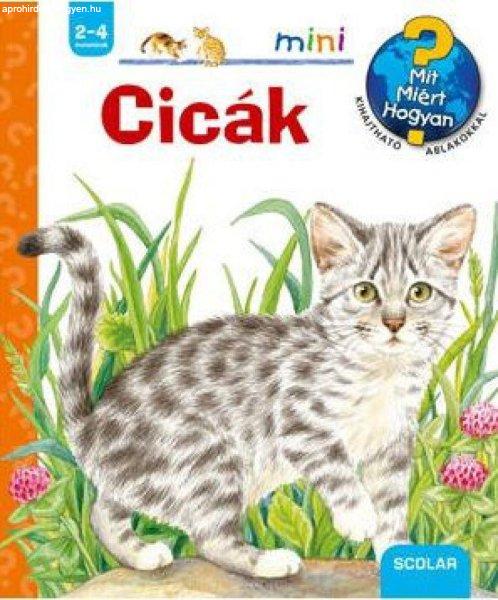 Cicák