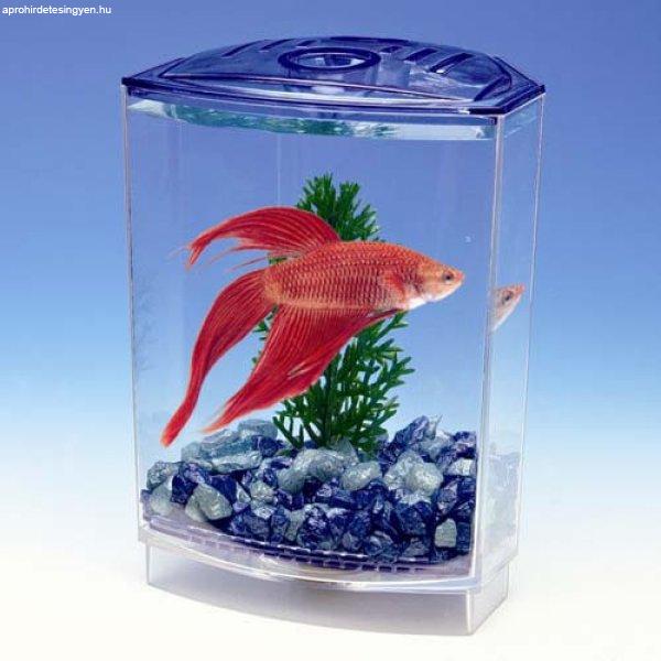 Penn Plax Betta Bow Simple Tank Kit Betta Akvárium Szett (015373)