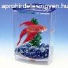 Penn Plax Betta Bow Simple Tank Kit Betta Akvrium Szett (01