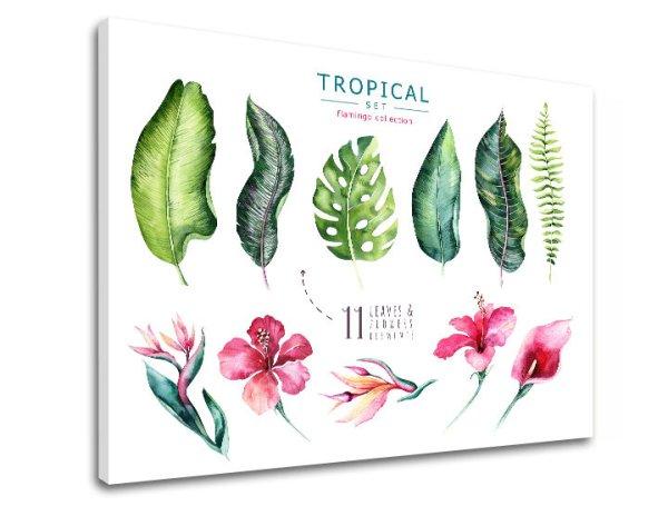 Vászonkép szöveggel Tropical set flamingo (modern vászonképek)