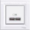 Schneider EPH2700221 ASFORA 2.1A/A+A/fehr dupla USB tlt