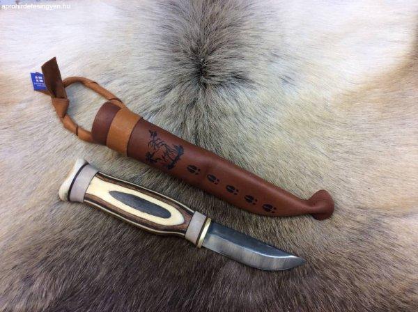 Wood Jewel Zebrapuukko