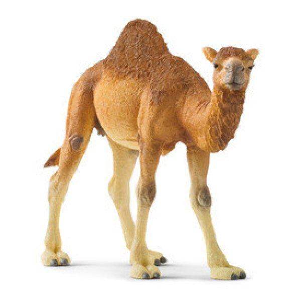 Schleich Dromedár