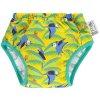Pop-in leszoktat pelenka - Parrot
