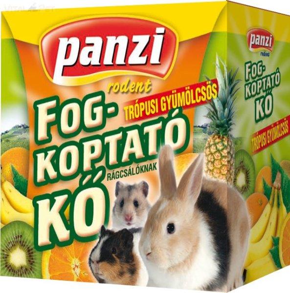 Panzi fogkoptató trópusi gyümölcsös