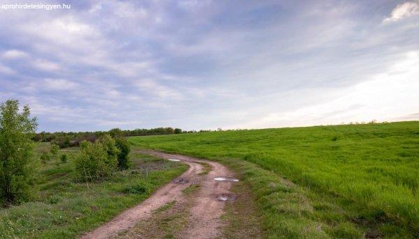 5.500 m2 telek belterületbe vonás alatt - Monorierdő