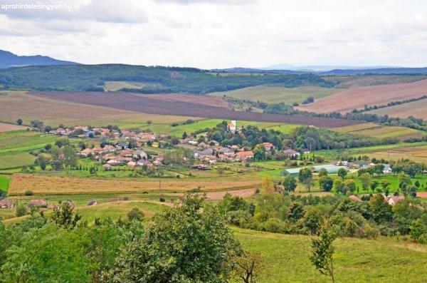 35HH1114 A Cserhát hegység Fekete-víz völgyében festői kis faluban
családi ház eladó.