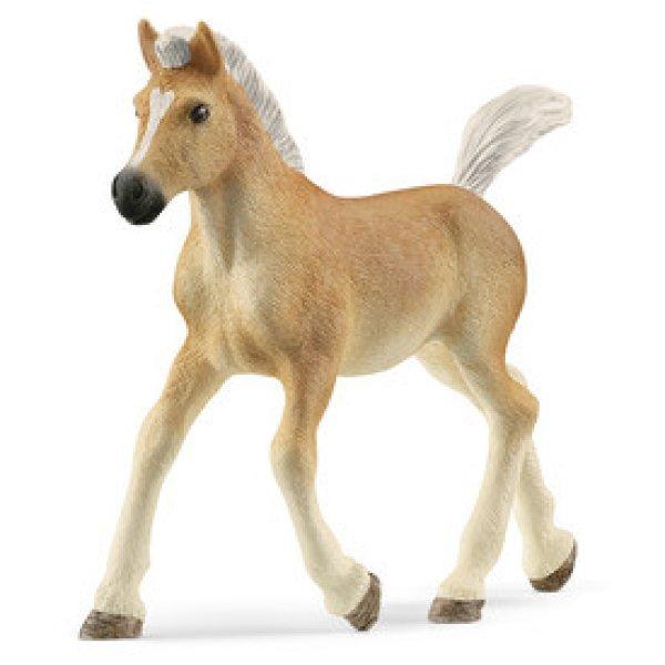 Schleich Halfinger csikó