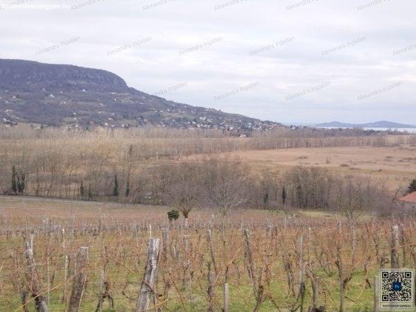 Eladó Szigligeten panorámás 100000nm beépíthető telek 