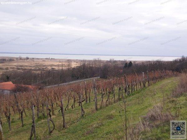 Szigligeten eladó 7000nm-es beépíthető telek.!