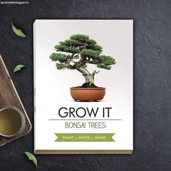 Grow it - Bonsai (sérült csomagolás)