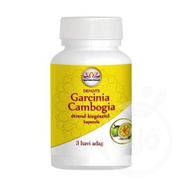 Dehlvis garcinia cambogia kapszula 90 db