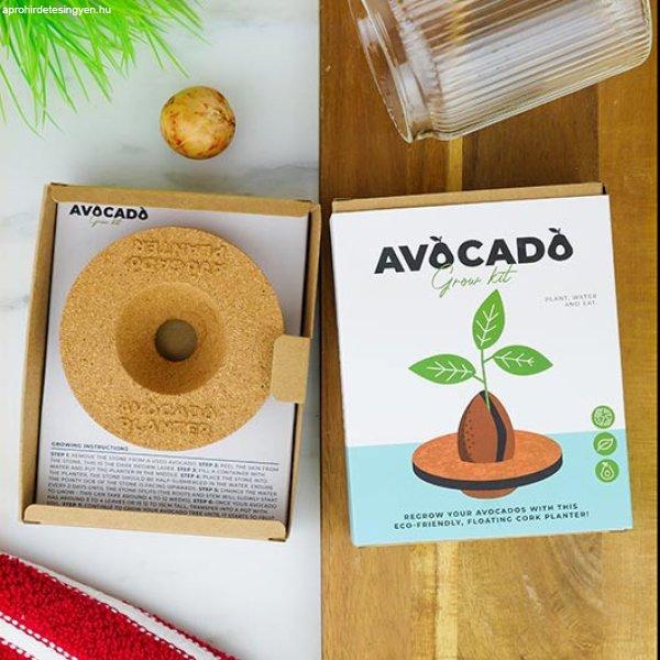 Avocado Grow Kit nevelj saját avokádót