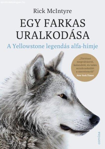 EGY FARKAS URALKODáSA - A YELLOWSTONE LEGENDáS ALFA-HíMJE