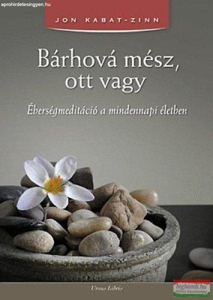 Jon Kabat-Zinn - Bárhová mész, ott vagy 