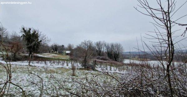 Eladó telek Zselickislakon, a Deres hegyen!