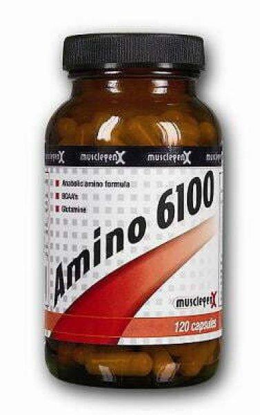 AMINO 6100