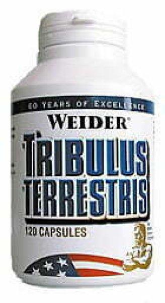 TRIBULUS TERRESTRIS