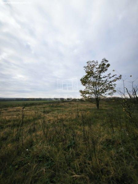 Eladó földterület Csomád, 	1,4 km-re a Kossuth Lajos úttól