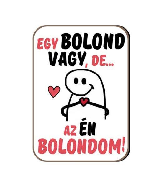 Fa hűtőmágnes, Egy bolond vagy, de az én bolondom