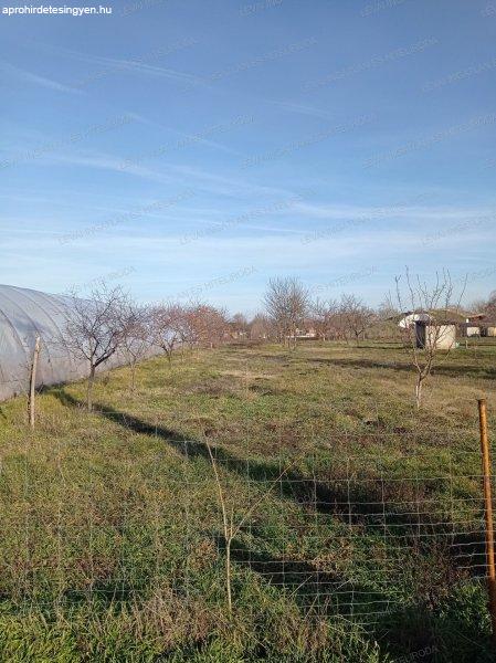 Békéscsaba  Fiumei utcában  4097 m2  építési telek eladó.