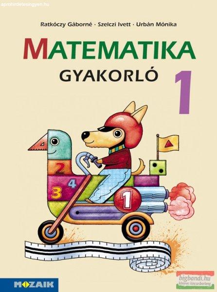 Matematika gyakorló 1. - MS-1663U