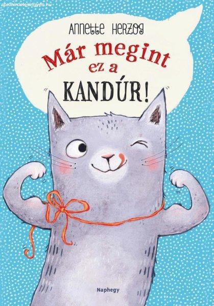 Már megint ez a kandúr!