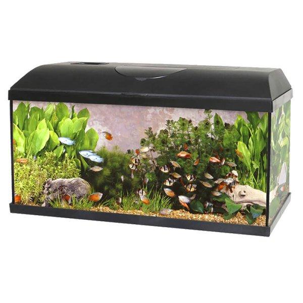 Akvárium Szett+Szűrő+Fűtő Pacific Eco Light 54l, 60x30x30cm