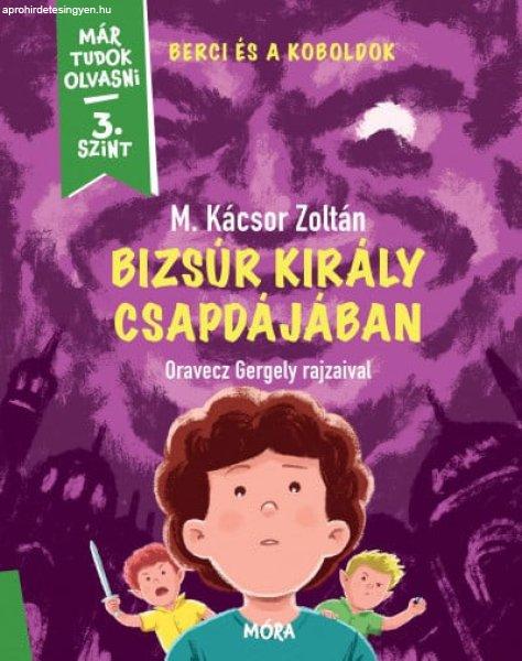 Bizsúr király csapdájában - Berci és a koboldok 2.