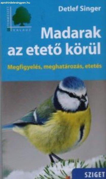 Madarak az etető körül - Megfigyelés, meghatározás, etetés