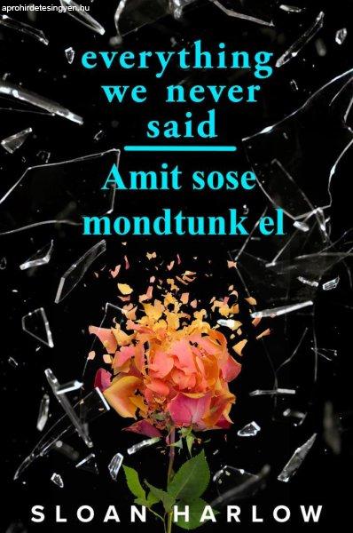 Everything We Never Said - Amit sose mondtunk el