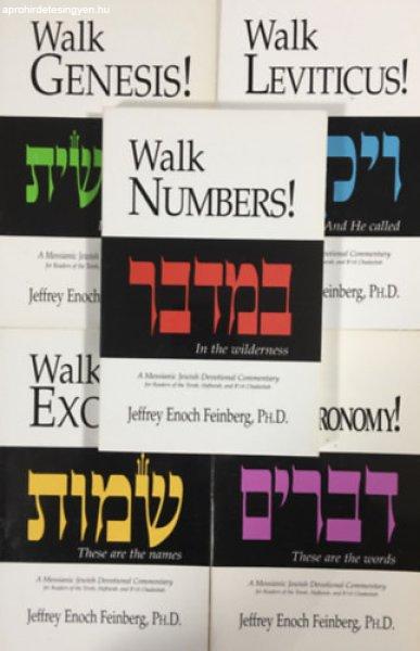 5 Jeffrey Enoch Feinberg book - The Walk Set -