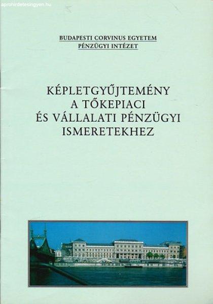 Képletgyűjtemény a tőkepiaci és a vállalati pénzügyi ismeretekhez -
Kovács Nikolett (szerk.); Fazekas Gergely; Juhász Péter