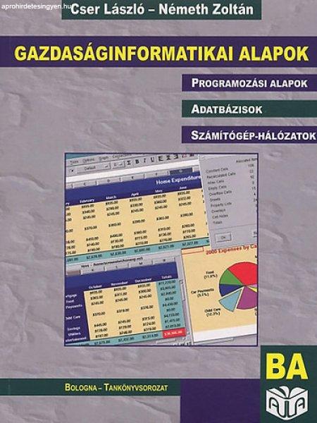 Gazdaságinformatikai alapok - Cser László; Németh Zoltán