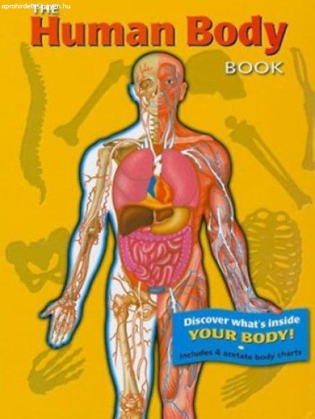 The Human Body Book - With 4 Acetate Body Charts - Bargain Price