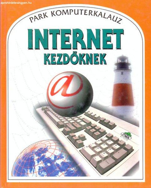 Internet kezdőknek - P.Wingate