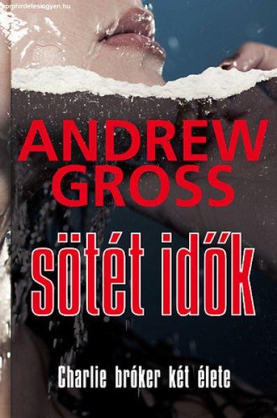 Sötét idők - Andrew Gross