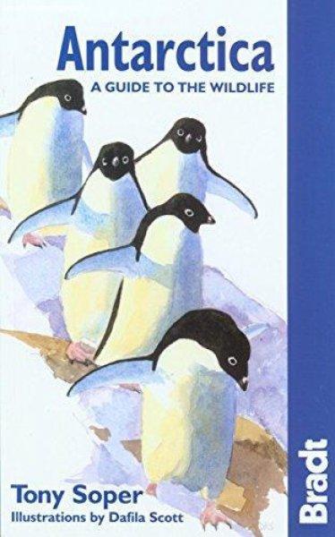 Antarctica - A Guide to the Wildlife - Tony Soper, Dafila Scott (illus.)