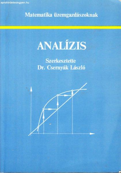 Analízis (Matematika üzemgazdászoknak) - Csernyák László Dr.