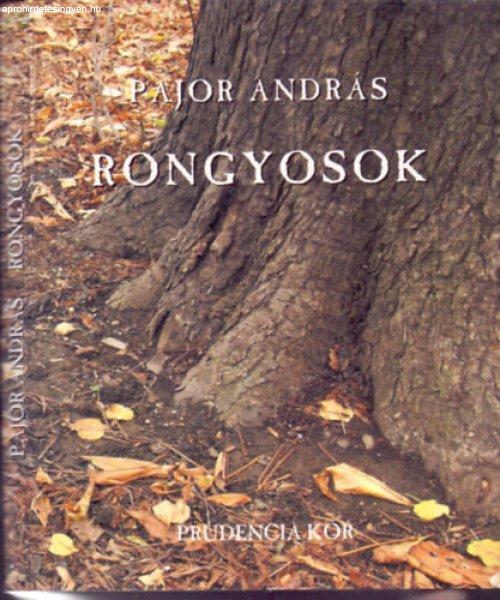 Rongyosok - Pajor András