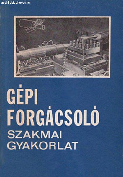 GÉPI FORGÁCSOLÓ SZAKMAI GYAKORLAT - Dudás István