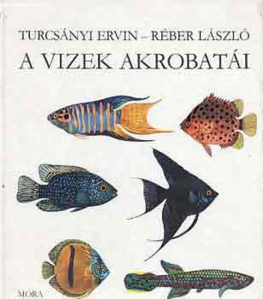 A vizek akrobatái - Turcsányi-Réber