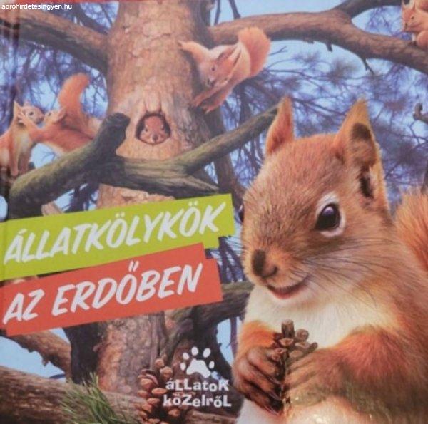 Állatkölykök az erdőben - ismeretlen