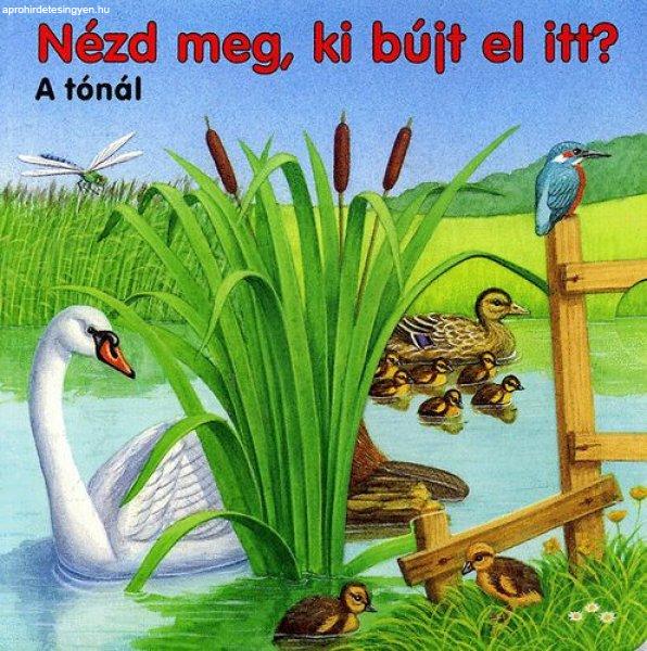 Nézd meg, ki bújt el itt? - A tónál -