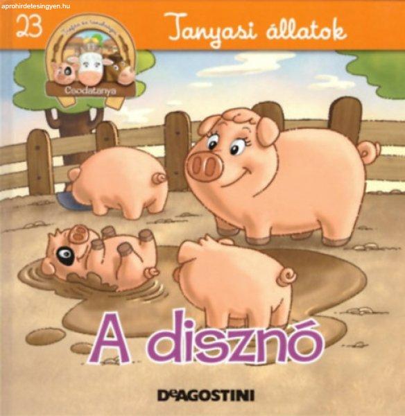 A disznó Tanyasi állatok 23. -