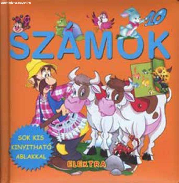 Számok - Sok kis kinyitható ablakkal -