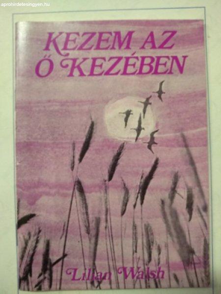 Kezem az ő kezében - LilliaN Walsh