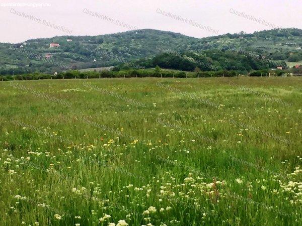 Mezőgazdasági terület ELADÓ Balatonszőlősön