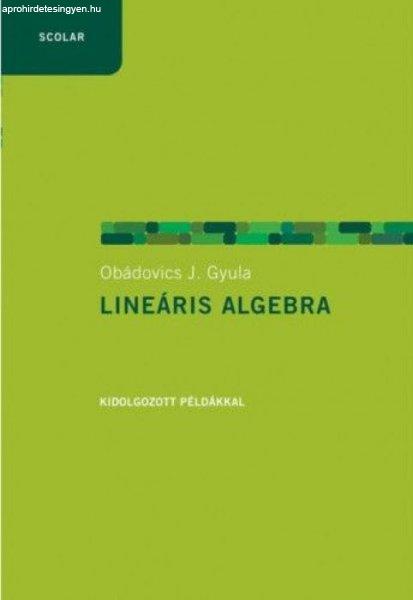 Lineáris algebra példákkal