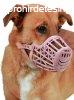 Kerbl Dog Safe Muzzle 6-Os Barna Knyelmes Szjkosr (81016)